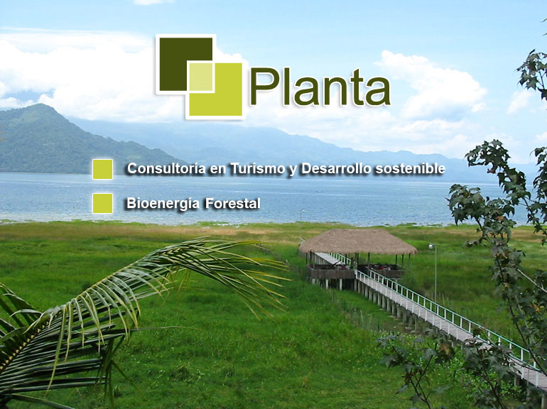 planta